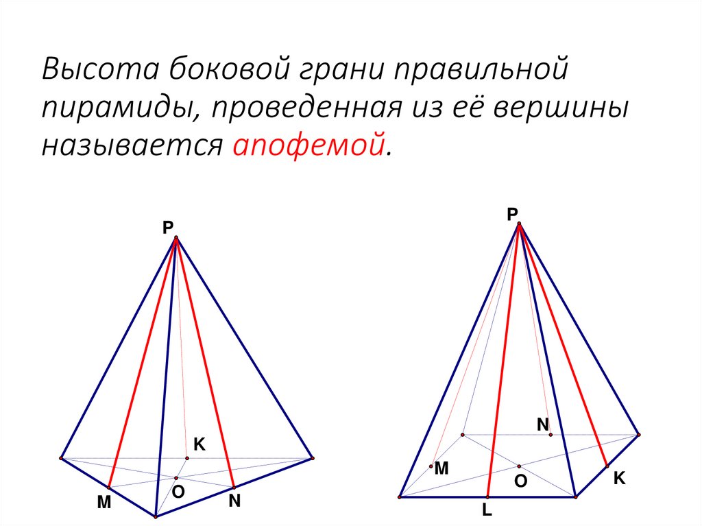 Высота боковой грани правильной пирамиды, проведенная из её вершины называется апофемой.