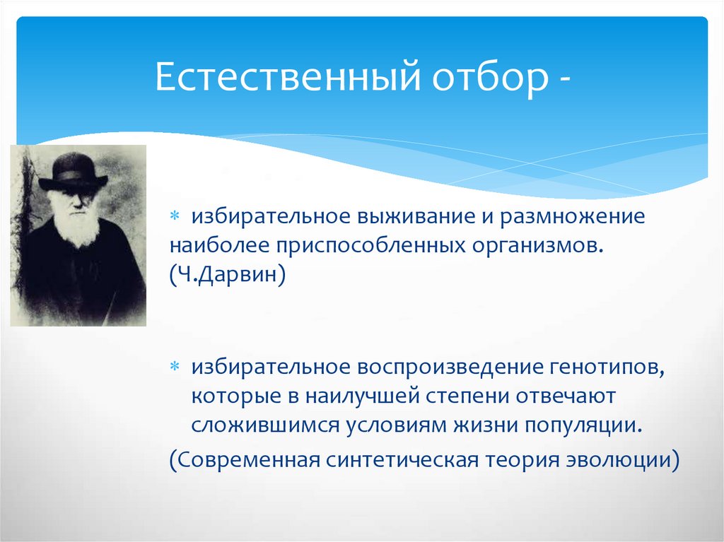 Понятие естественно. Происхождение человека и половой отбор Дарвин. Ч Дарвин и его труд. Ч.Дарвин происхождение человека половой подбор 1871. Ч.Дарвин. Учение Дарвина о наследственности и изменчивости..