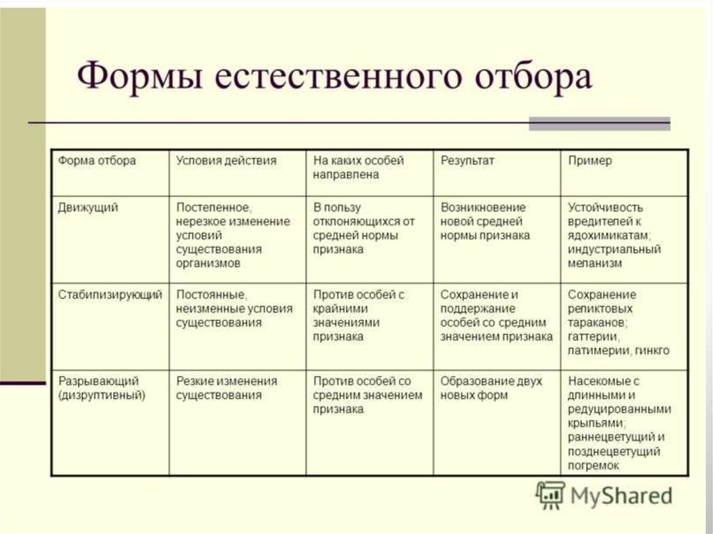 Виды естественного отбора схема