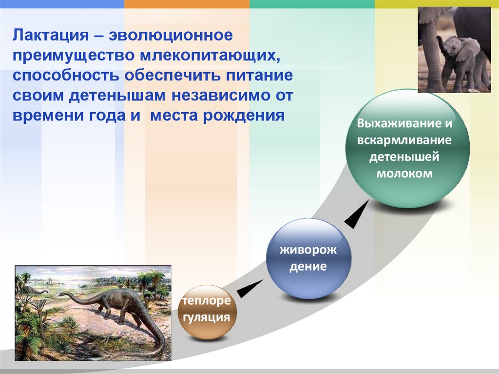 Объясните эволюционное преимущество полового