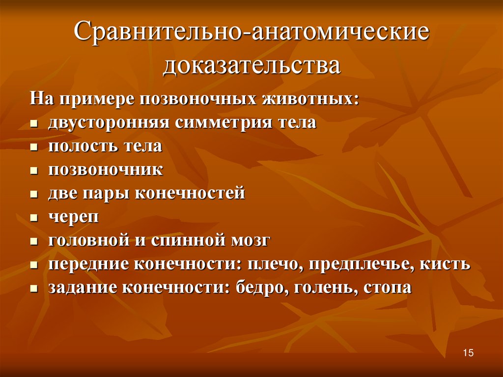 Пример сравнительно анатомического доказательства