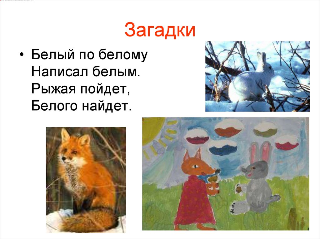 Загадки