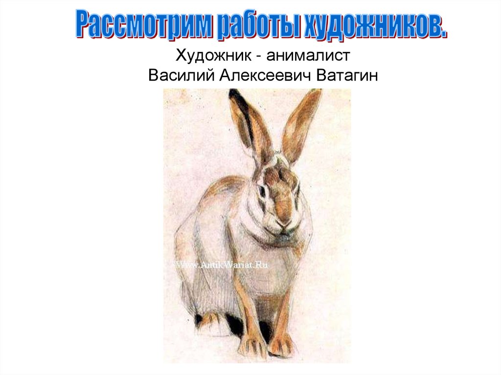 Художник - анималист Василий Алексеевич Ватагин