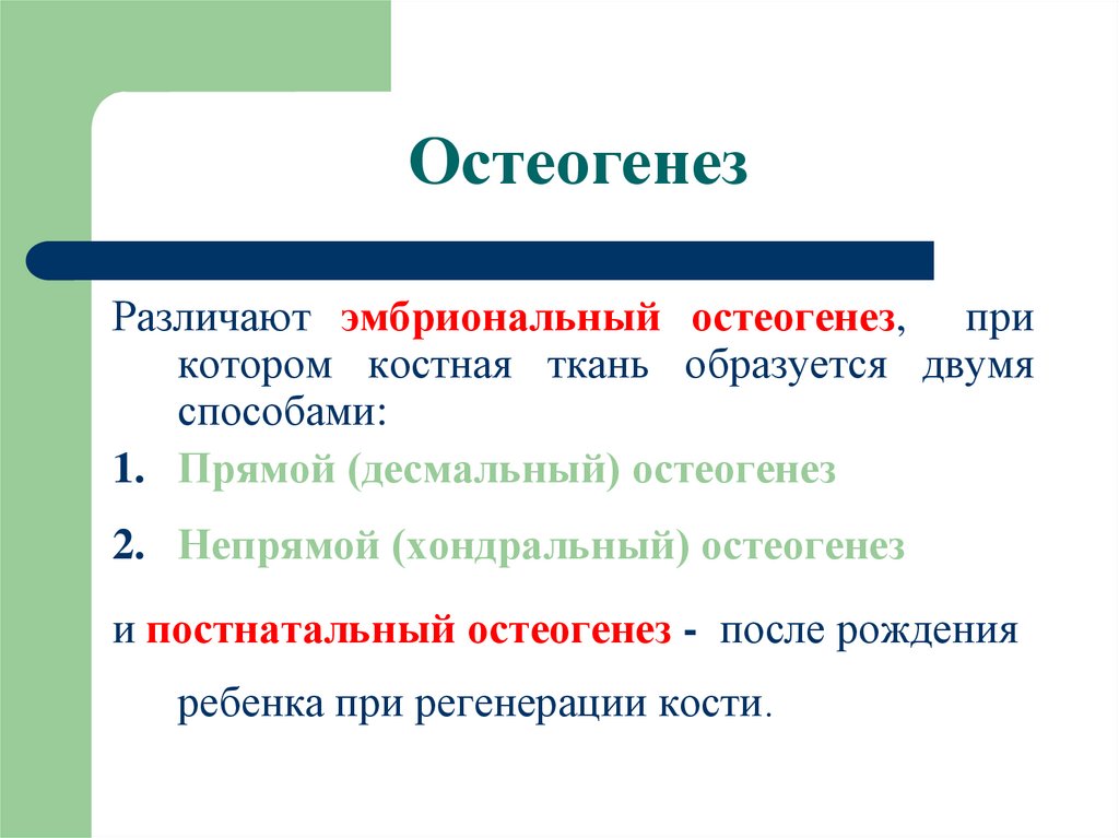 Репаративный остеогенез презентация