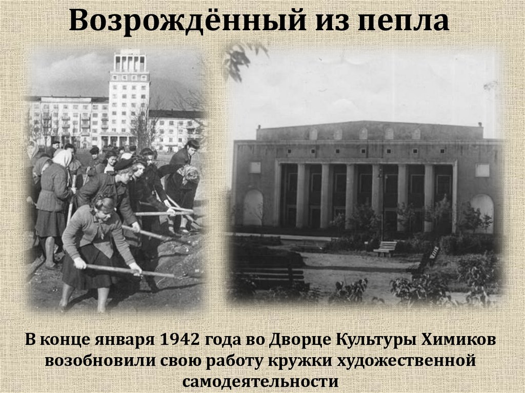 Возрождённый из пепла 