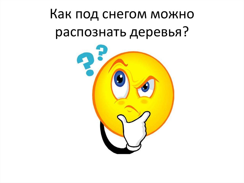 Как под снегом можно распознать деревья?