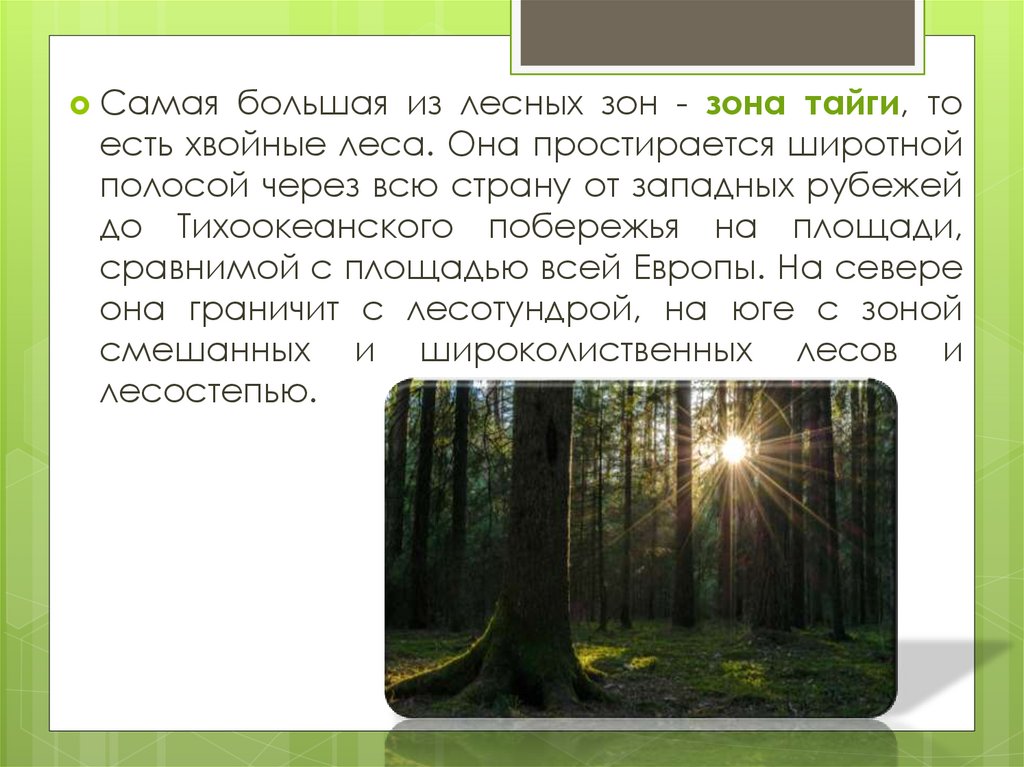 Занимает территории между тайгой широколиственными лесами. Разнообразие лесов России. Лесные зоны России презентация. Зоны тайги смешанных и широколиственных лесов. Лесные зоны презентация.