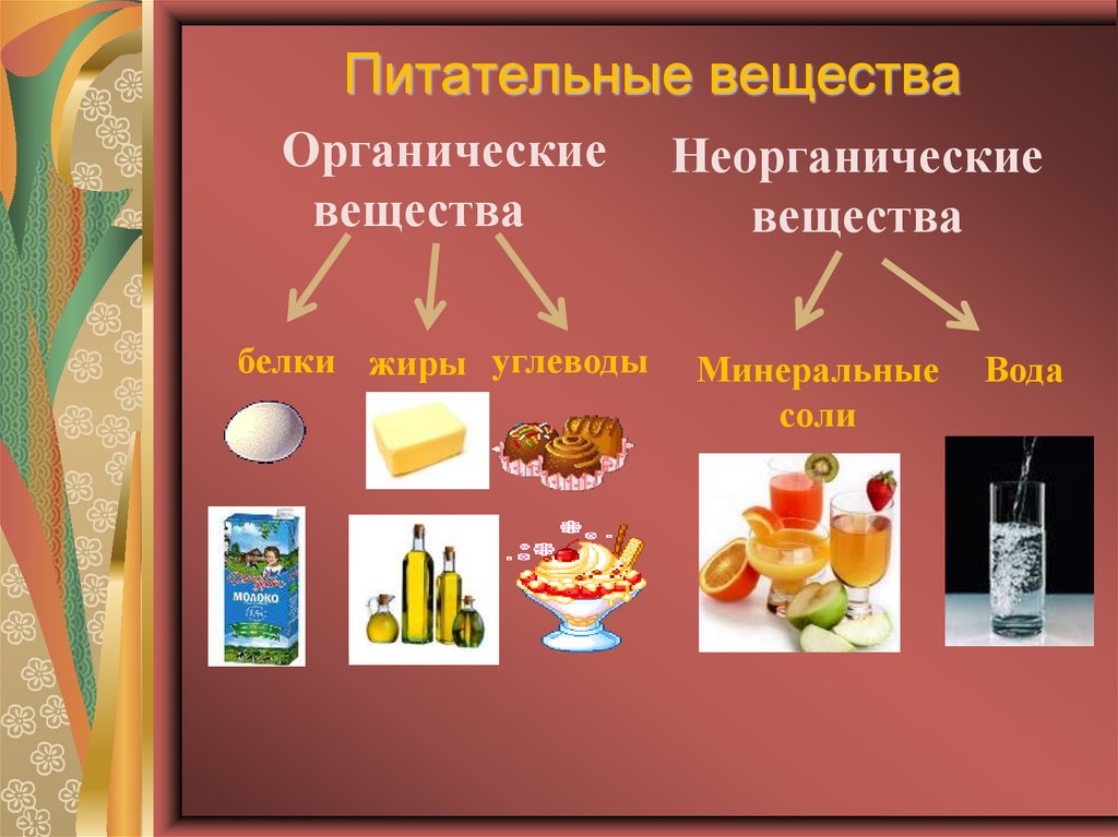 Типы пищевых веществ. Пища и питательные вещества. Пищевые питательные вещества. Питательные вещества в продуктах питания. Органические питательные вещества.