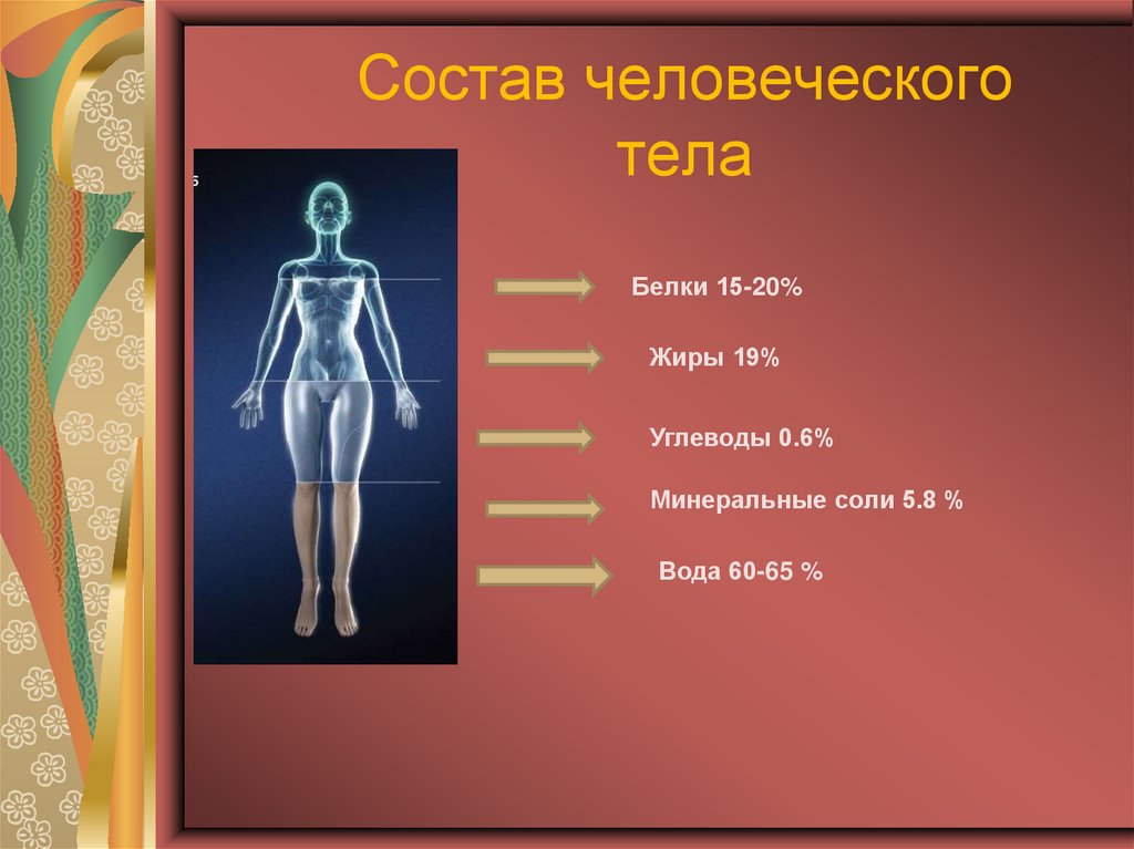 Элементы в теле человека. Организм человека состоит. Состав человека. Состав тела человека. Тело человека состоит из.