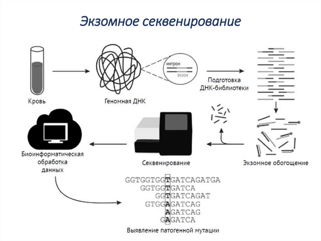 Экзомное секвенирование. Секвенирование нуклеиновых кислот. Схема секвенирования ДНК. Схема химического секвенирования ДНК. Первое поколение методов секвенирования.