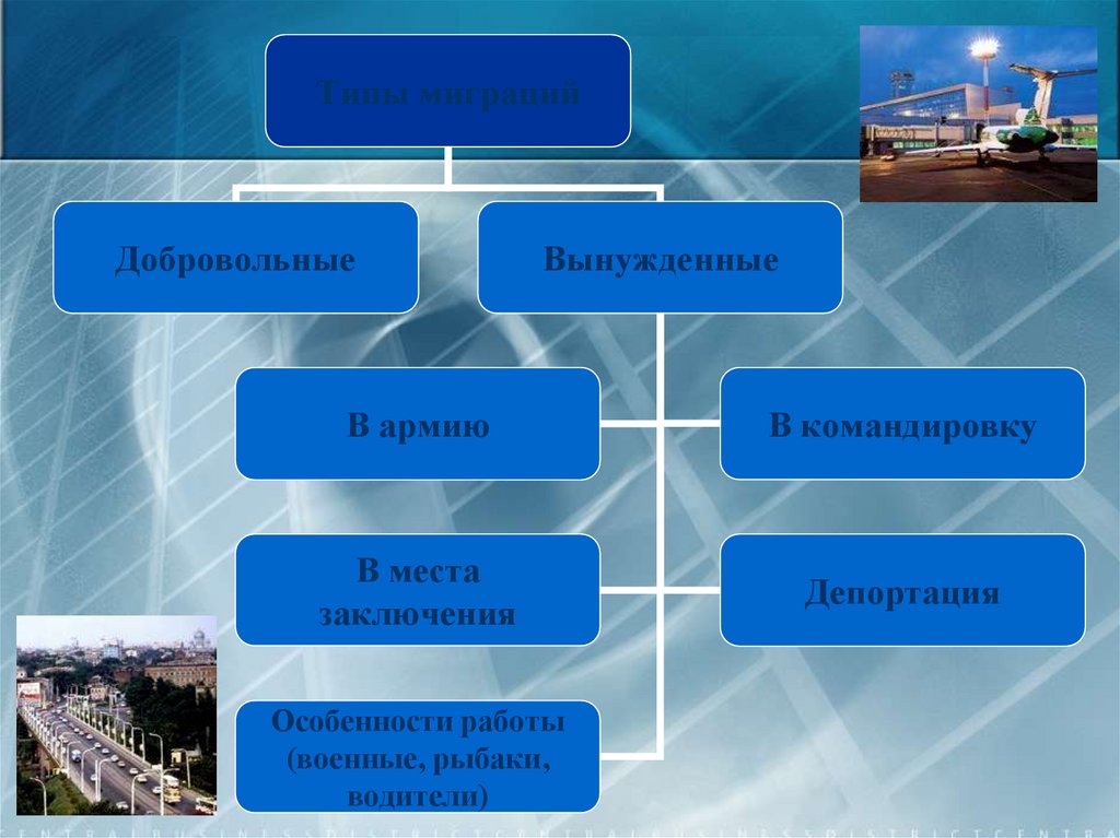 Основные причины и виды миграции