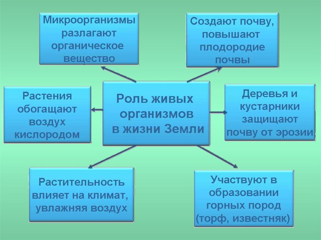 Виды биологических ресурсов. Биологические ресурсы Донбасса.