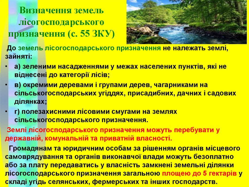 Визначення земель лісогосподарського призначення (с. 55 ЗКУ)