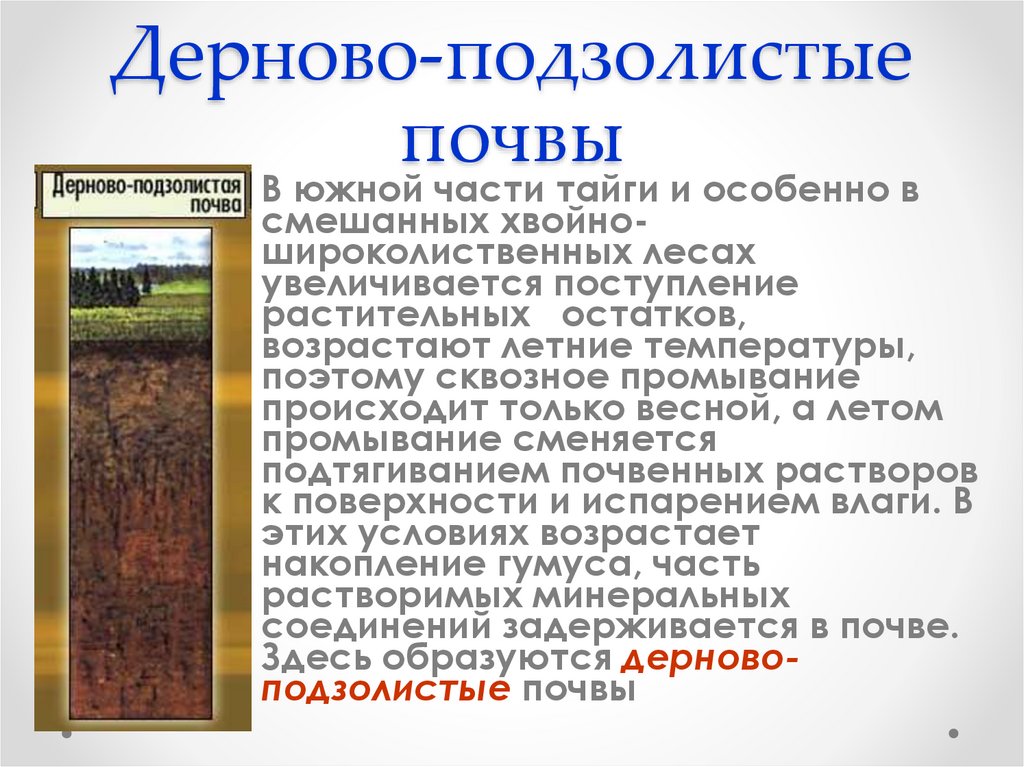 Дерново подзолистый тип почвы природная зона. Дерново-подзолистые почвы зоны России. Дерново-подзолистые почвы природная зона РФ. Подзолистые почвы тайги. Дерново-подзолистые почвы профиль.