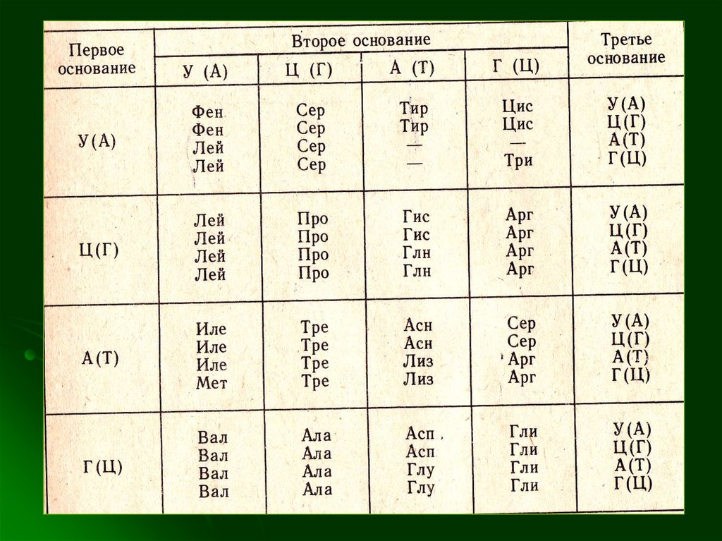 Генетический код биология. Таблица нуклеотидов и аминокислот. Первое основание второе основание третье основание. Таблица оснований ДНК. Первое основание второе основание третье основание генетический код.
