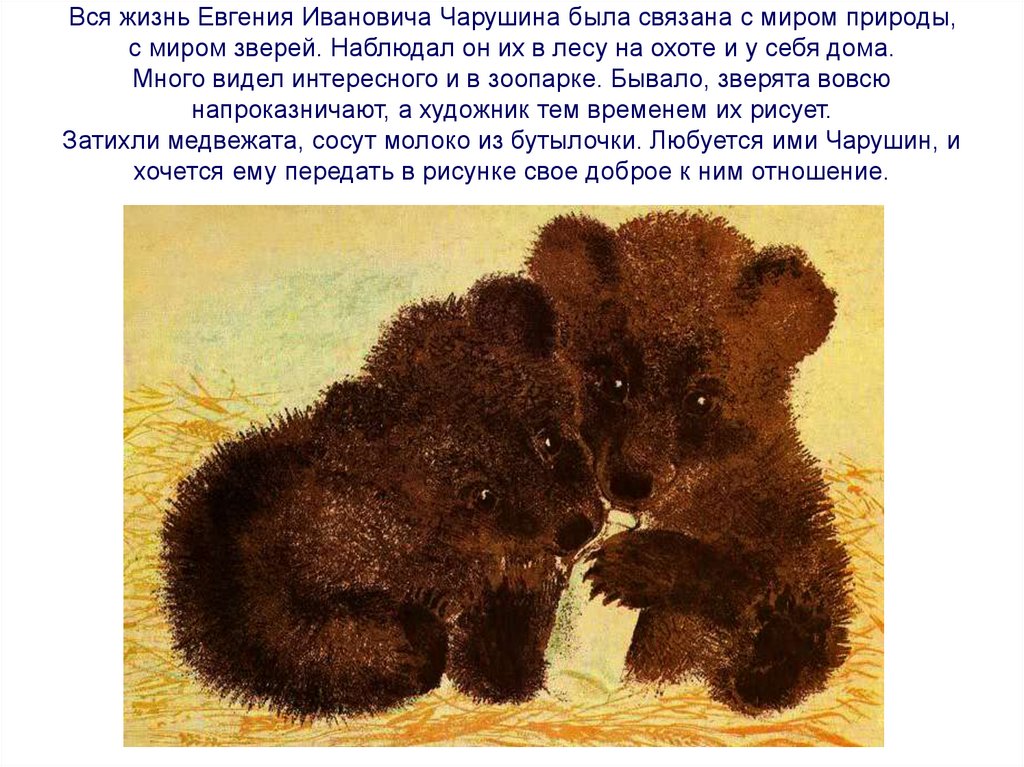 Вся жизнь Евгения Ивановича Чарушина была связана с миром природы, с миром зверей. Наблюдал он их в лесу на охоте и у себя