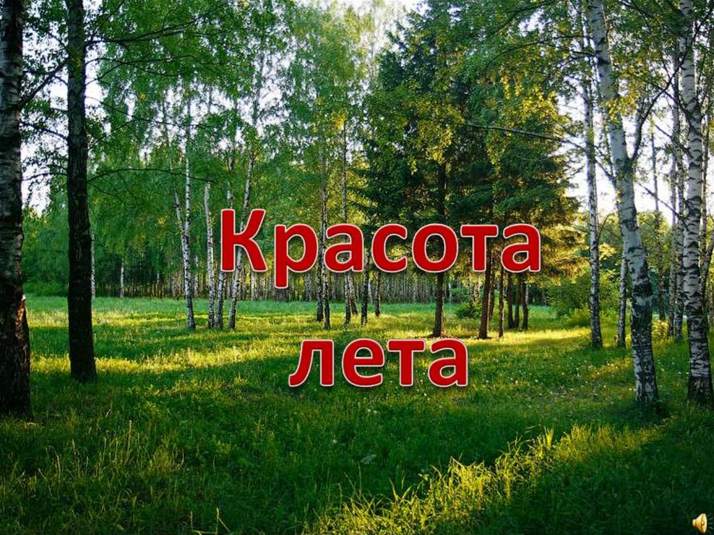 Красота лета презентация