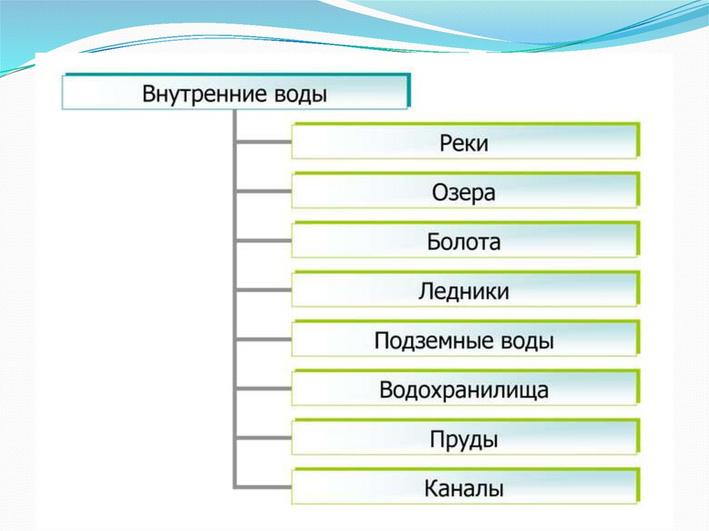 Внутренние воды России – реки, разнообразие и виды с основными особенностями