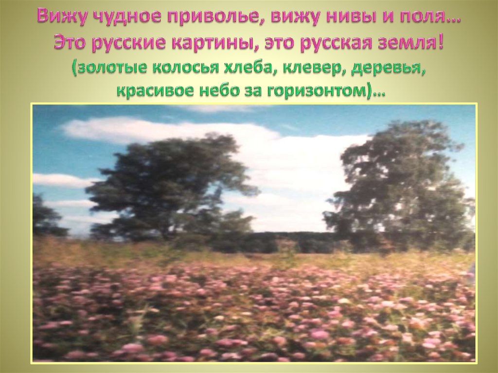 Вижу чудное приволье, вижу нивы и поля… Это русские картины, это русская земля! (золотые колосья хлеба, клевер, деревья,