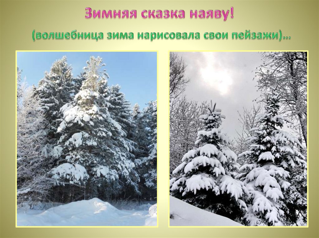 Зимняя сказка наяву! (волшебница зима нарисовала свои пейзажи)…