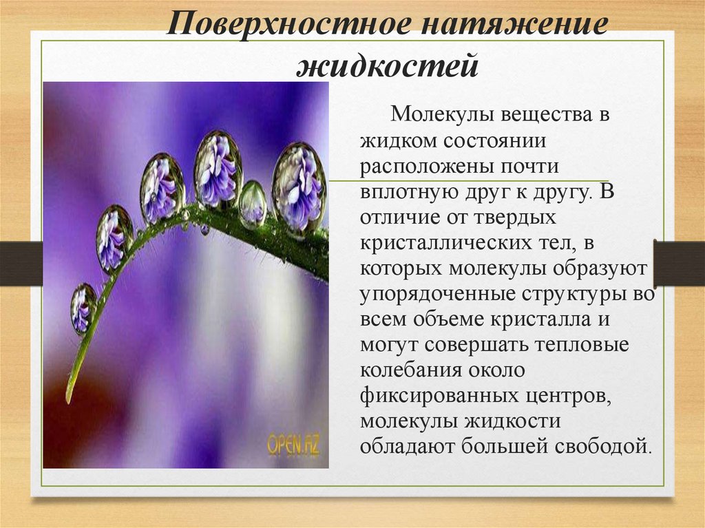 Свойства жидкости поверхностное натяжение 10 класс презентация