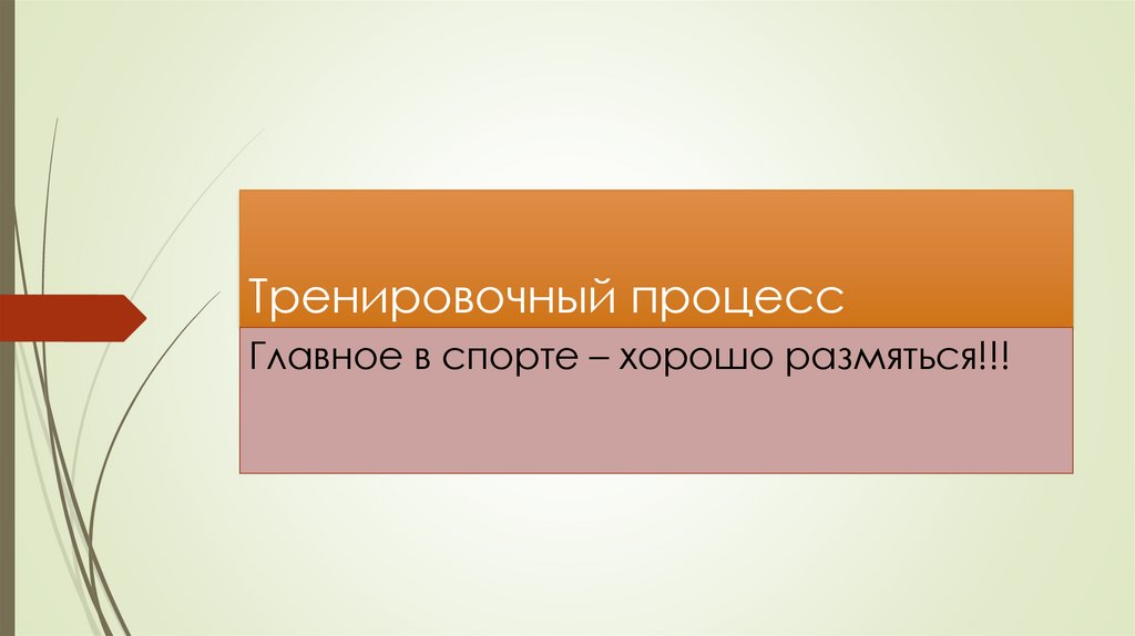 Тренировочный процесс