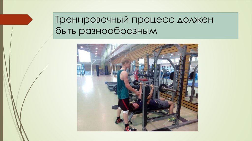 Тренировочный процесс должен быть разнообразным