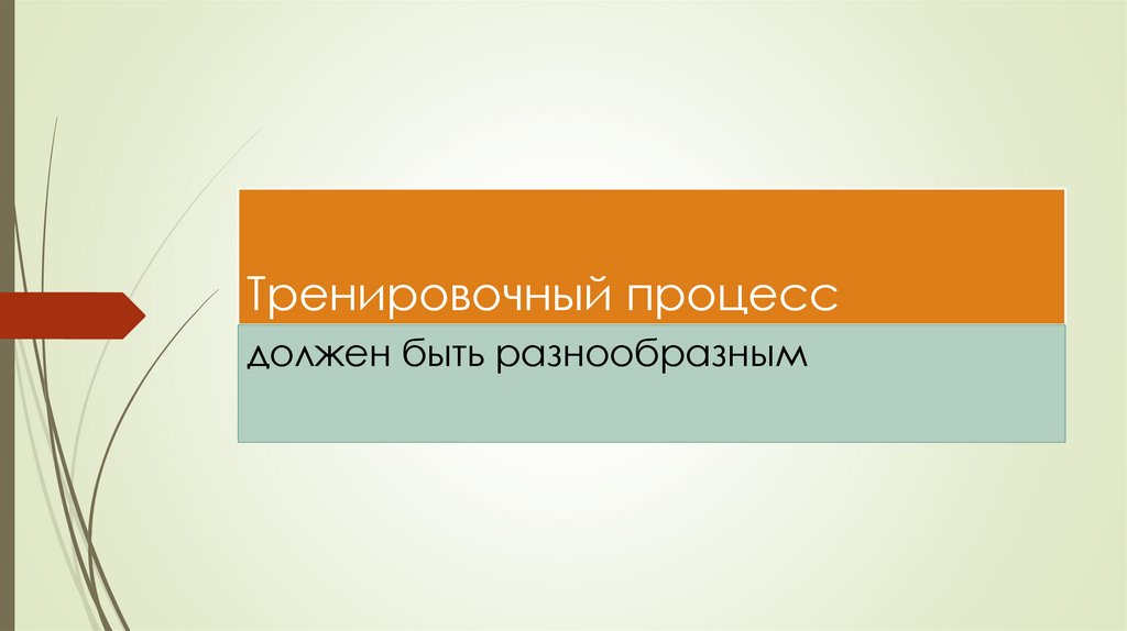 Тренировочный процесс