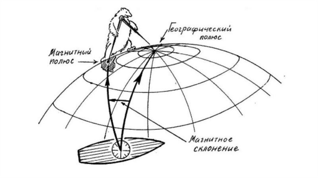 Схема магнитных меридианов земли