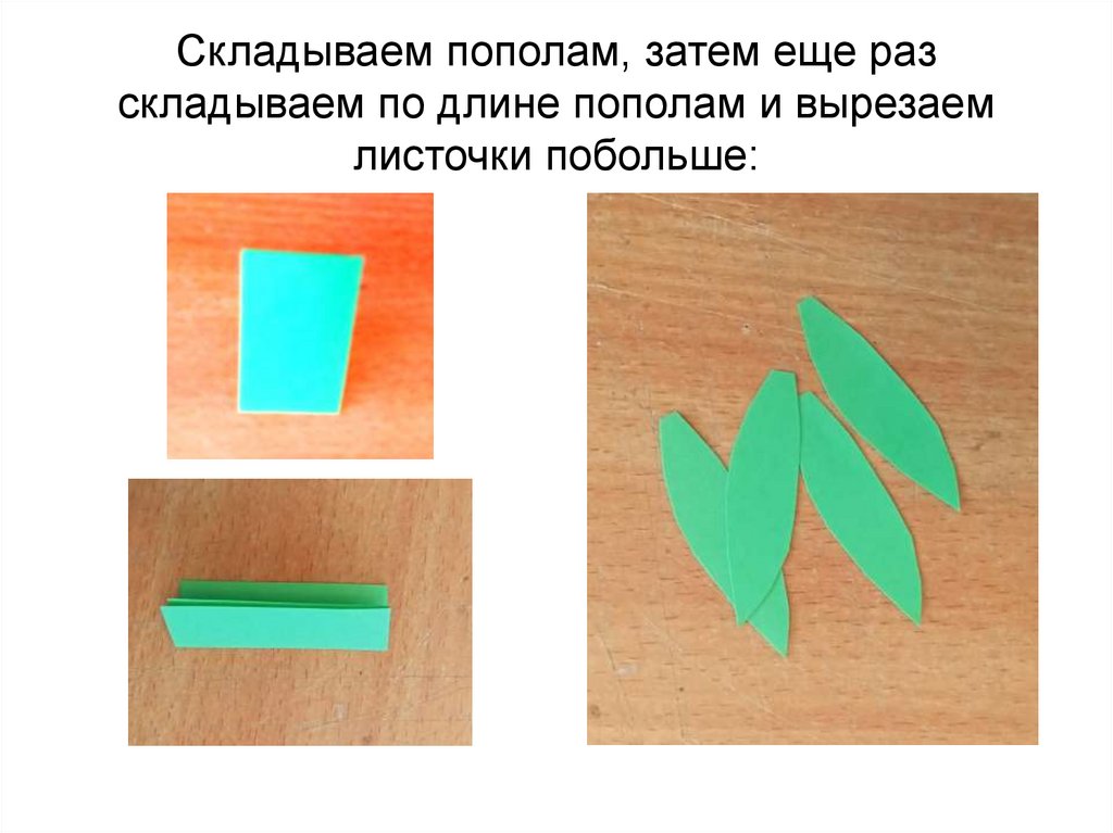 Презентация гвоздика из бумаги 3 класс