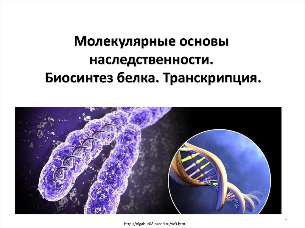 Молекулярна основа. Молекулярные основы наследственности. Клеточные и молекулярные основы наследственности. Биосинтез белка наследственность. Молекулярные основы транскрипции.