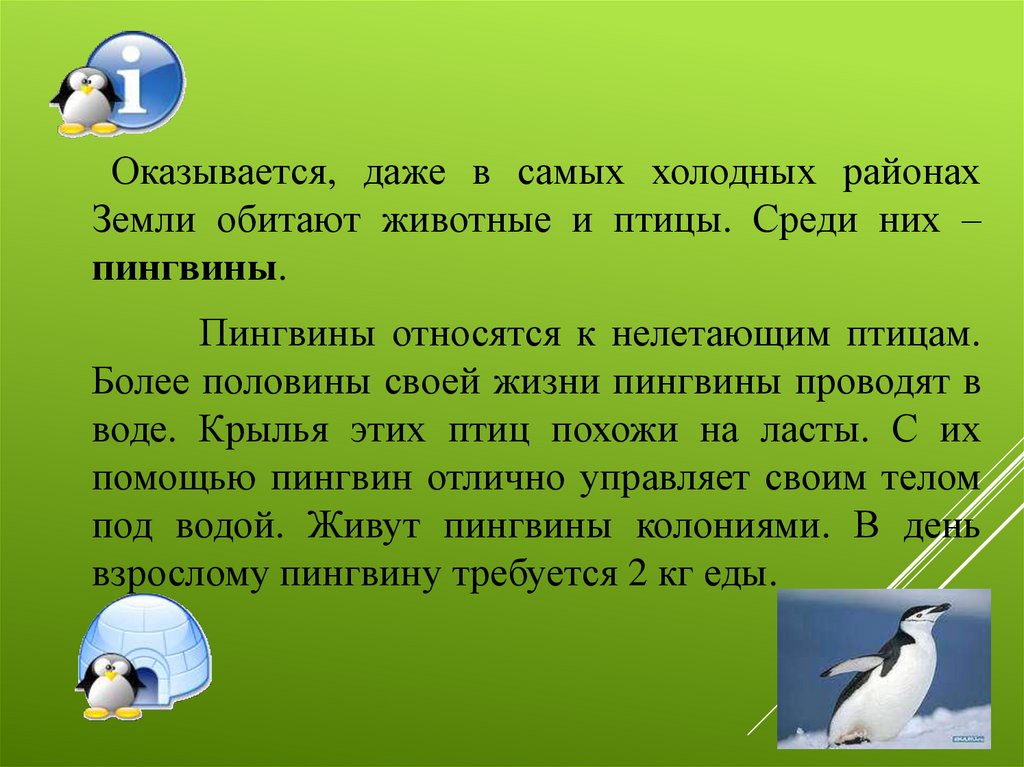 Текст мир холоден. Животные жарких районов земли. Животный мир холодных районов. Животные холодных районов земли. Животные жарких и холодных районов.