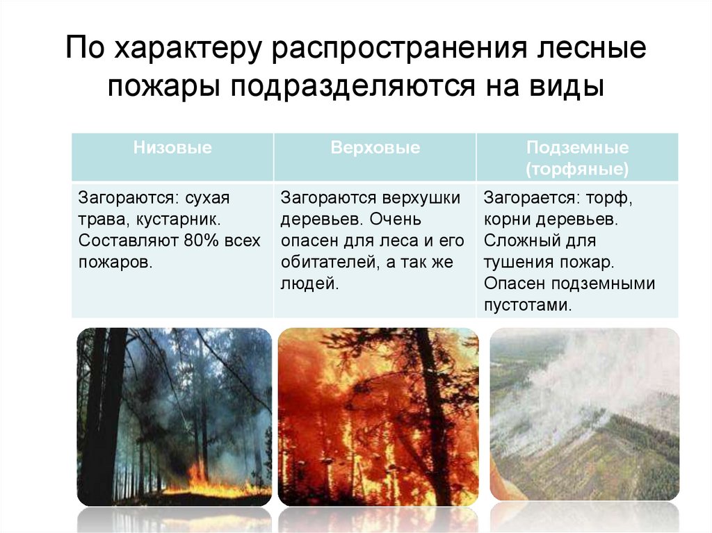 Лесной пожар относится к биологически опасным явлениям. Пожары подразделяются по характеру на. Характер распространения пожара. По характеру распространения Лесные пожары подразделяются на. Пожары по характеру распространения.