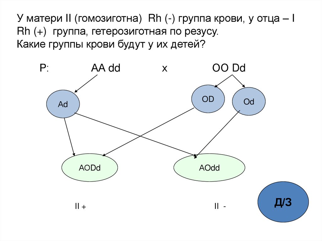 Гетерозиготная вторая группа крови. Мать гомозиготна имеет вторую группу крови. Гетерозиготная группа крови. Гетерозиготная мать 2 групп крови. У мамы 2 группа крови гетерозиготная у папы 3 гетерозиготная.