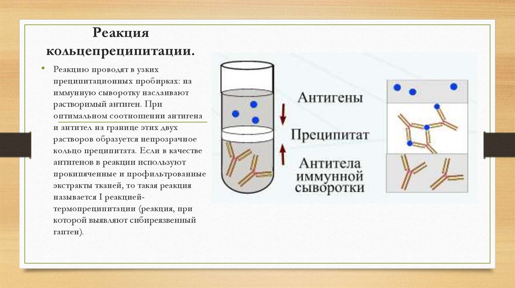 Реакция преципитации схема