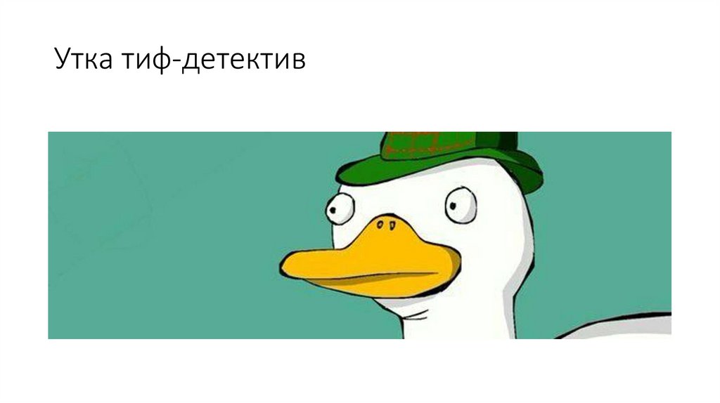 Утка тиф-детектив