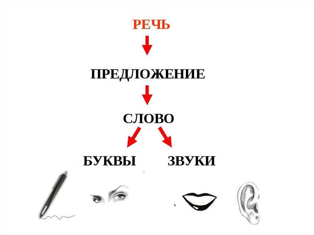 Речь предложение слово язык. Речь предложение слово слог звук. Речь состоит из предложений. Речь схема 1 класс. Звук слово предложение текст.