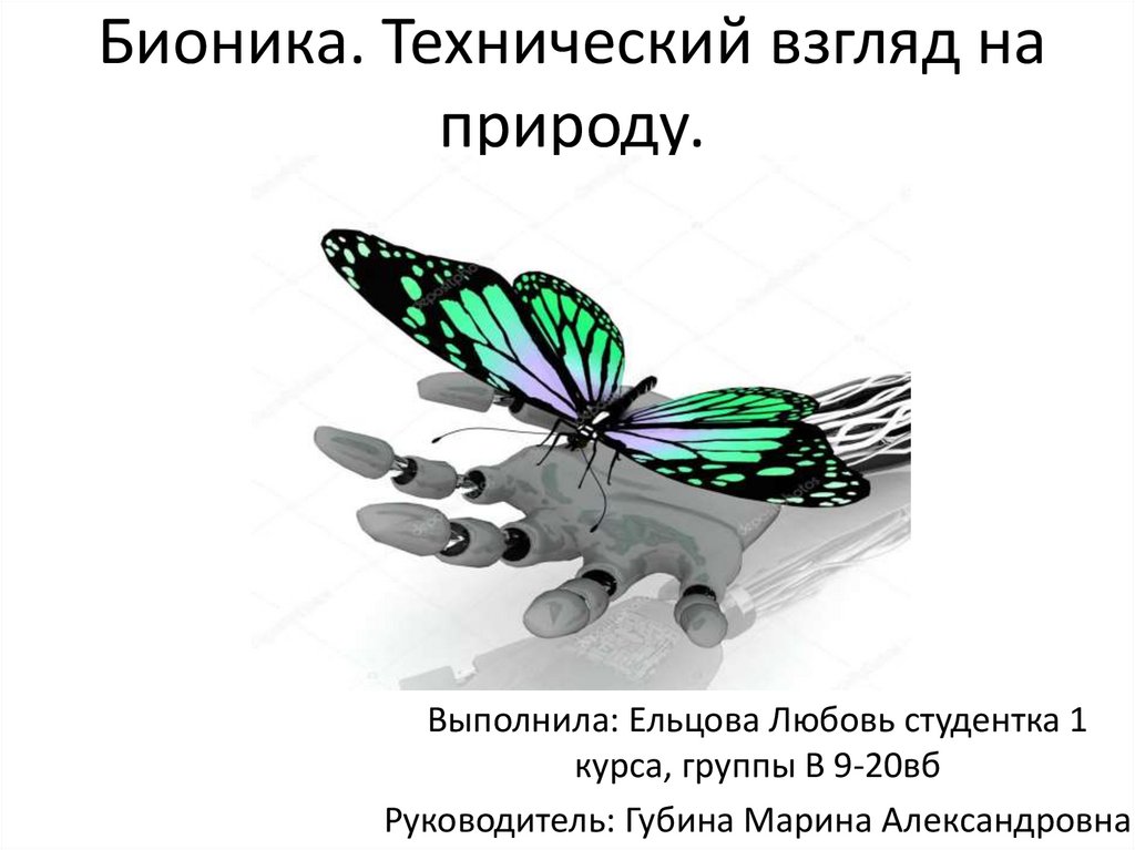 Бионика технический взгляд на живую природу. Картинки Бионика в живой природе. Бионика в полиграфии. Символ бионики картинка.