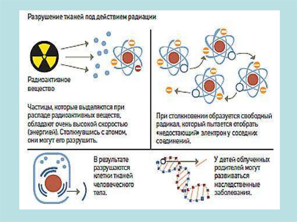 Влияние радиации на организм человека презентация по физике