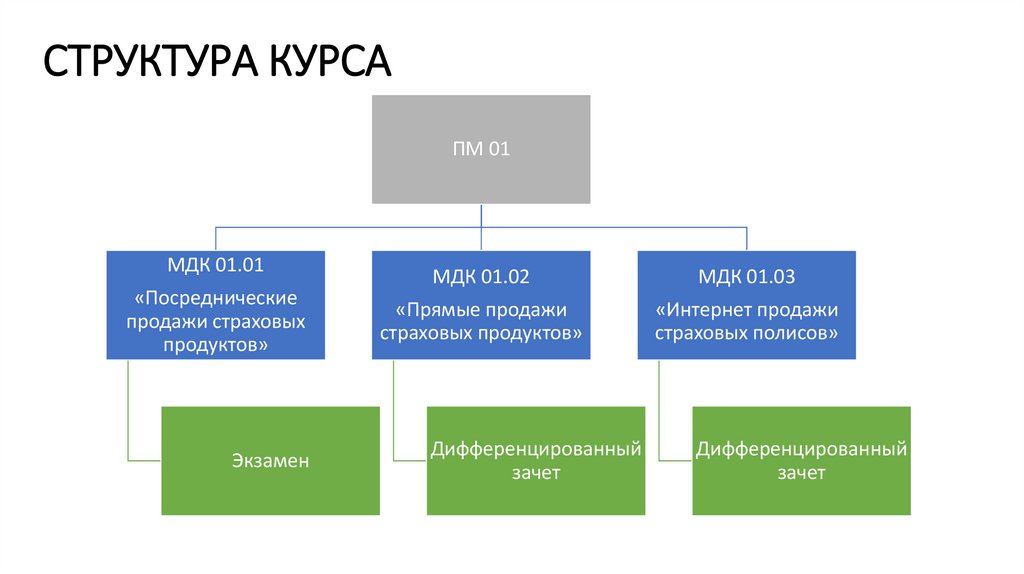 Структура курса