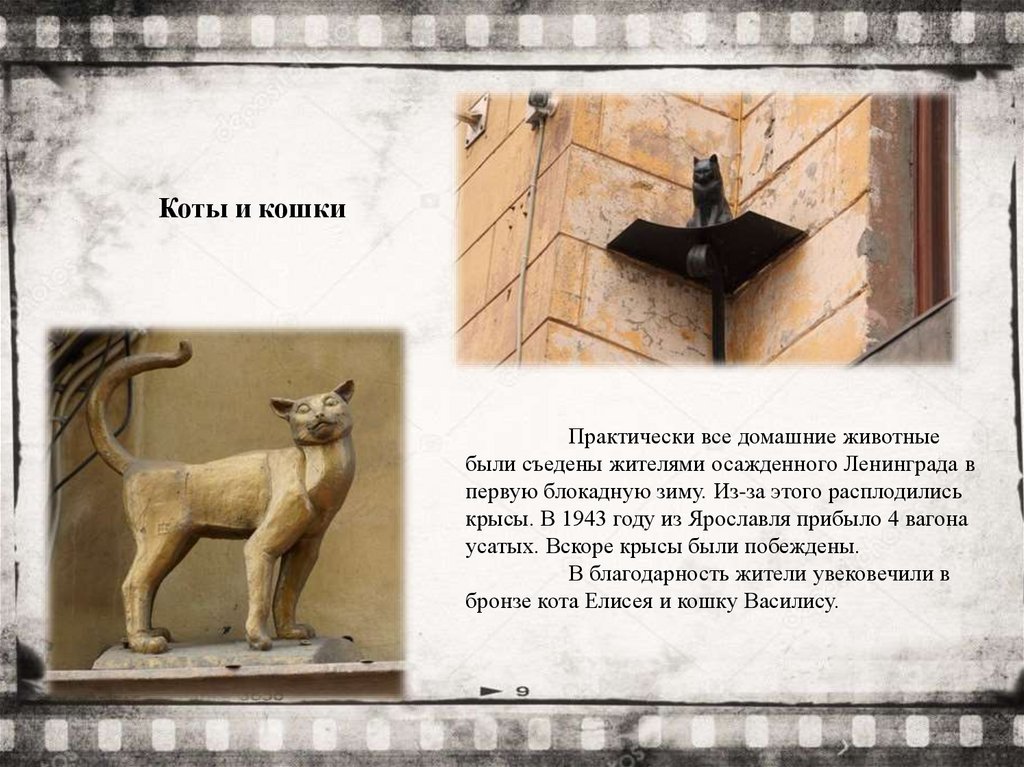 Коты и кошки