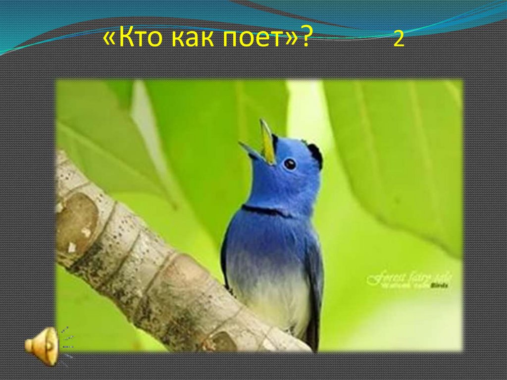 «Кто как поет»? 2