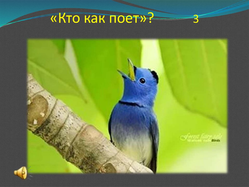 «Кто как поет»? 3