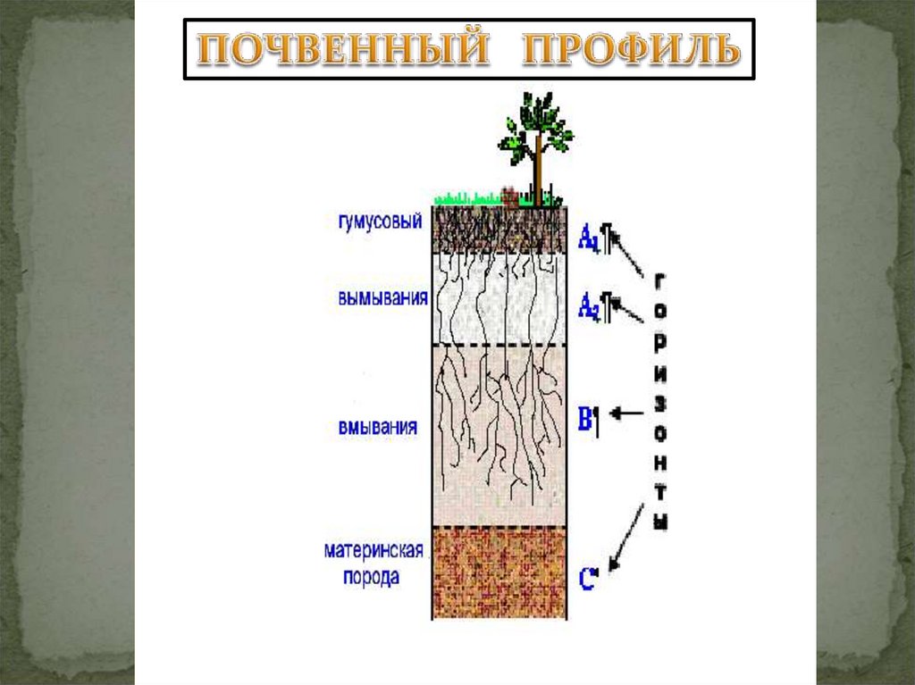 Состав почвы рисунок