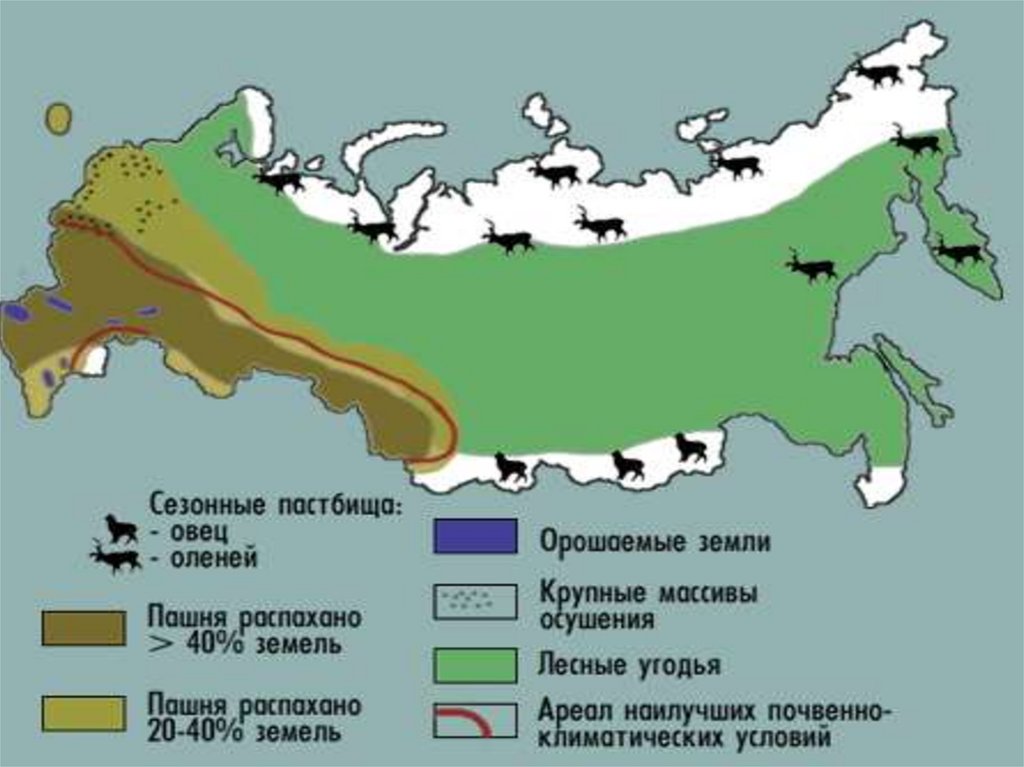 В какой зоне наиболее плодородные почвы. Плодородность почв России. Карта почв на территории России. Карта почвенных зон России. Карта плодородности почв России.