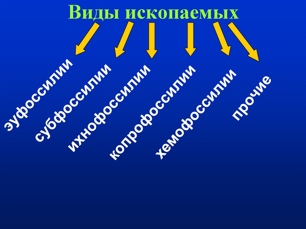 Виды ископаемых