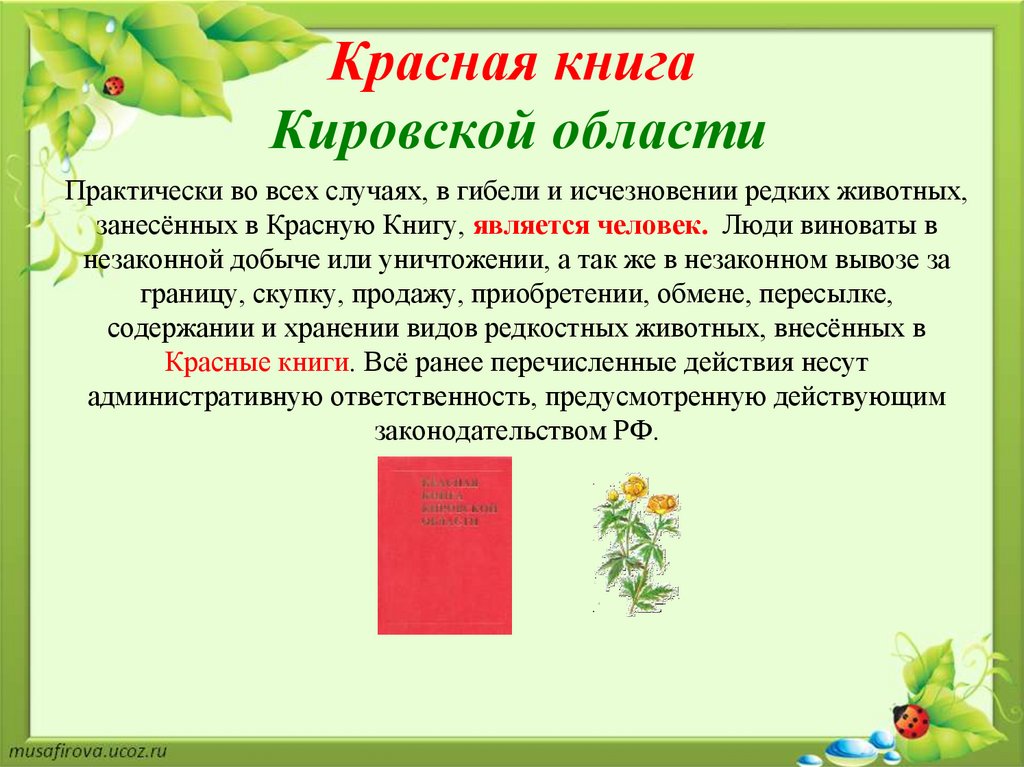 Растения и животные красной книги кировской области