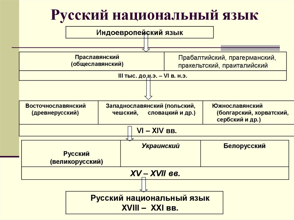 Русский национальный язык