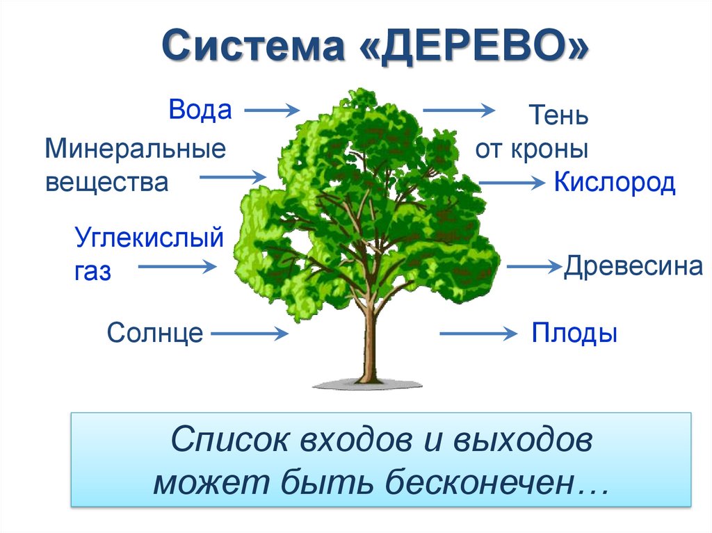 Системы объектов виды систем. Системы объектов 6 класс. Система объектов Информатика 6 класс. Конспект на тему системы объектов. Доклад система объектов.