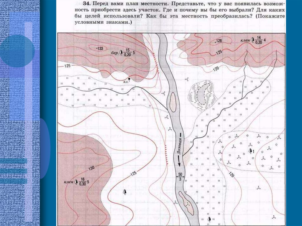 Практический местность. Топографический план местности ВПР. Выполняем проектное задания по географии. Топографическая карта 5 класс география Полярная. План класса задание по географии.